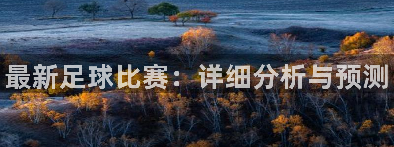  最新足球比赛：详细分析与预测