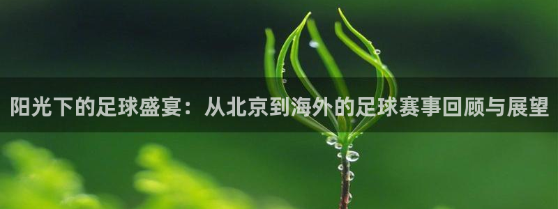  阳光下的足球盛宴：从北京到海外的足球赛事回顾与展望