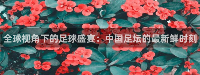  全球视角下的足球盛宴：中国足坛的最新鲜时刻