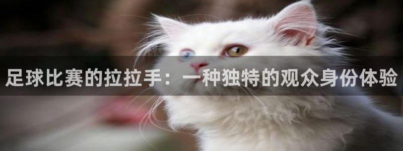 足球比赛的拉拉手：一种独特的观众身份体验