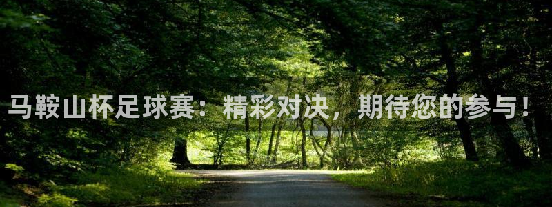 马鞍山杯足球赛：精彩对决，期待您的参与！