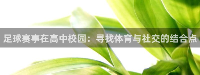  足球赛事在高中校园：寻找体育与社交的结合点