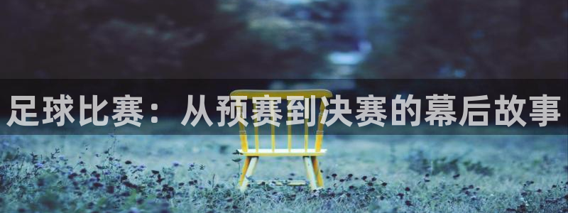 足球比赛：从预赛到决赛的幕后故事
