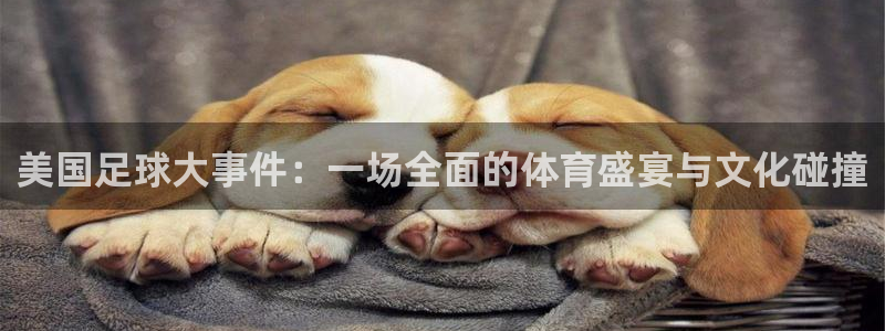 美国足球大事件：一场全面的体育盛宴与文化碰撞