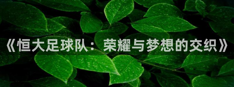 《恒大足球队：荣耀与梦想的交织》