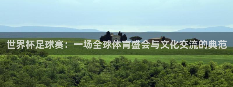 世界杯足球赛：一场全球体育盛会与文化交流的典范