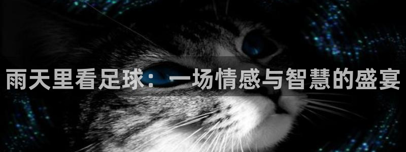 雨天里看足球：一场情感与智慧的盛宴