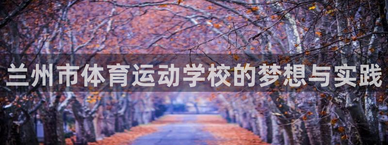 3377体育