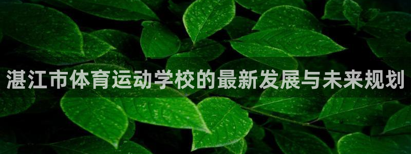 3377体育官方app下载