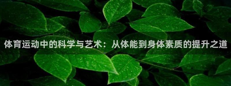 3377体育