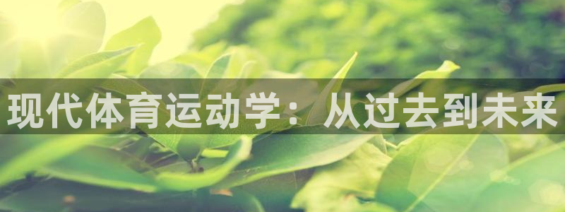 3377体育是正规平台吗