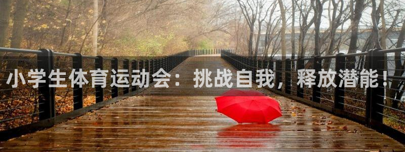 3377体育平台