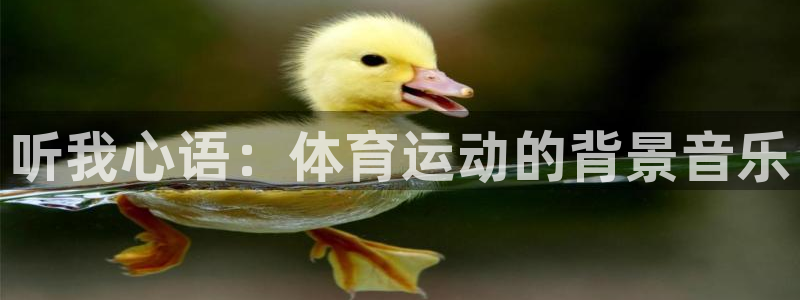 3377体育中国官方网站入口：听我心语：体育运动的背景音乐