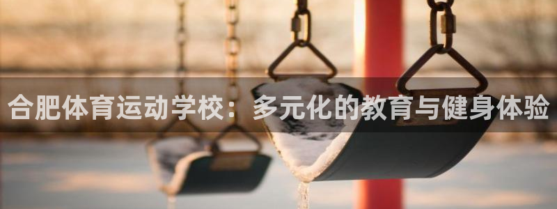 3377体育官方app下载：合肥体育运动学校：多元化的教育与健身体验
