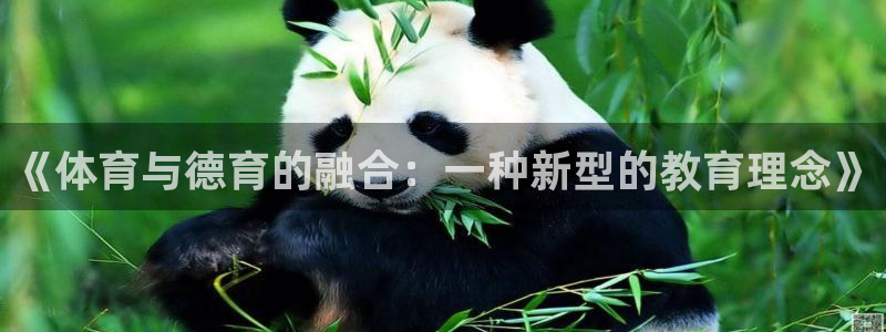 3377体育在线：《体育与德育的融合：一种新型的教育理念》