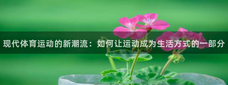 3377体育app官方下载：现代体育运动的新潮流：如何让运动成为生活方式的一部分
