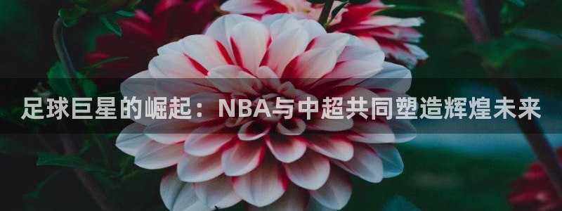 足球巨星的崛起：NBA与中超共同塑造