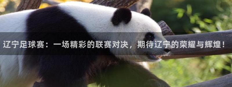 辽宁足球赛：一场精彩的联赛对决，期待