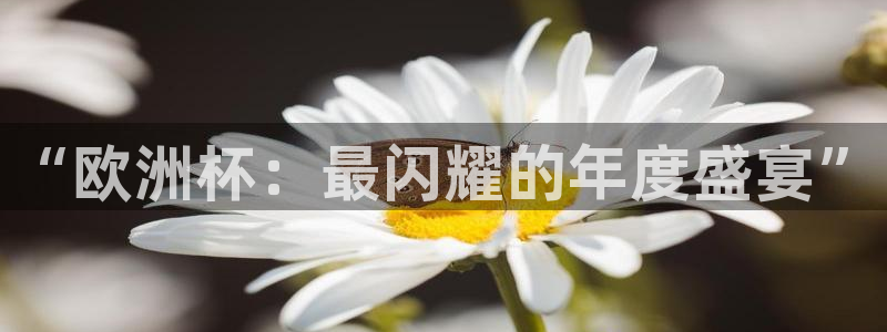 “欧洲杯：最闪耀的年度盛宴”