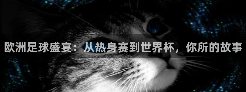 欧洲足球盛宴：从热身赛到世界杯，你所