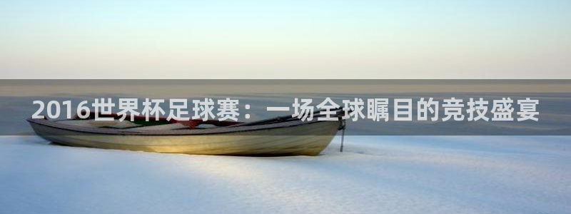 2016世界杯足球赛：一场全球瞩目的