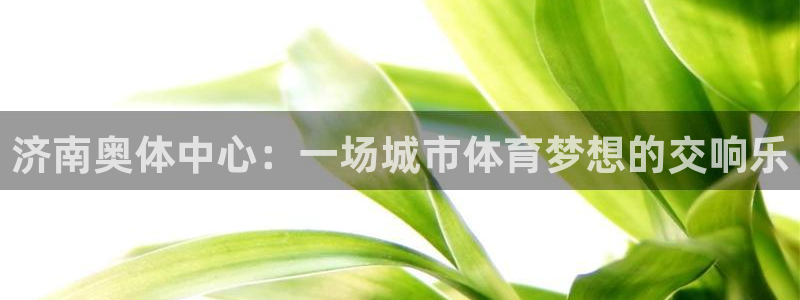 济南奥体中心：一场城市体育梦想的交响