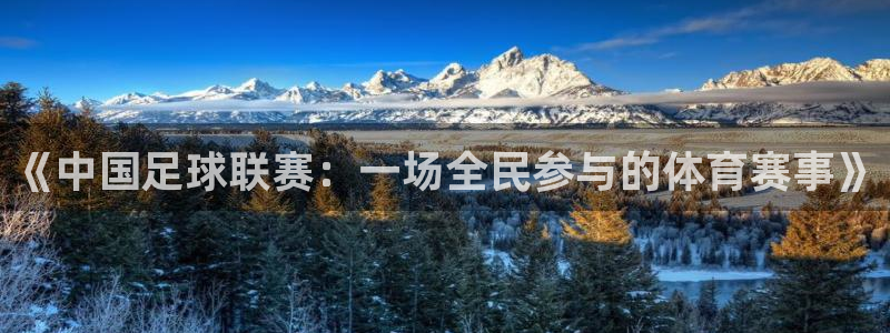 《中国足球联赛：一场全民参与的体育赛