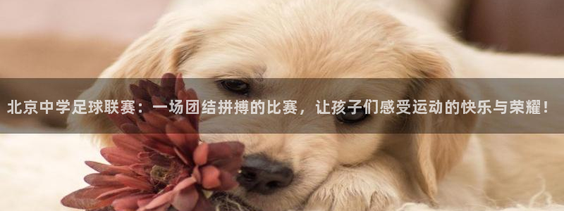 北京中学足球联赛：一场团结拼搏的比赛