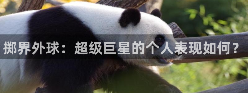 掷界外球：超级巨星的个人表现如何？