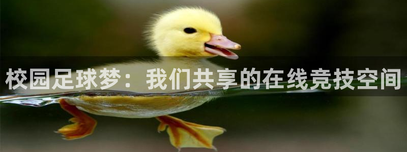 校园足球梦：我们共享的在线竞技空间