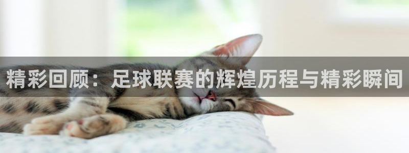 精彩回顾：足球联赛的辉煌历程与精彩瞬