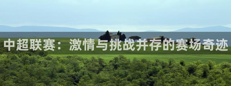 中超联赛：激情与挑战并存的赛场奇迹